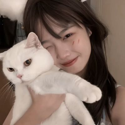 熊猫博士赛车手破解版下载